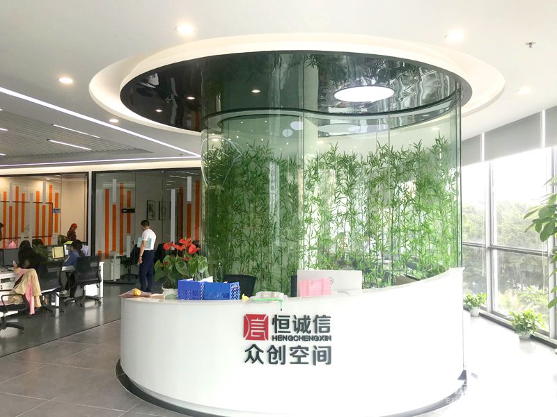 前台-实拍-大香蕉久久视频装修